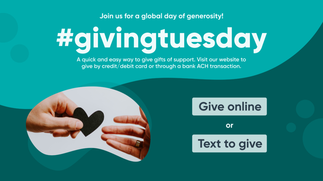 GivingTuesday_standard.png